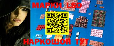 СК Краснодар