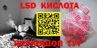 СК Краснодар
