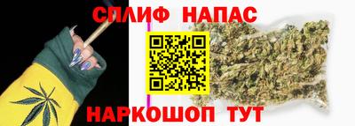 СК Краснодар