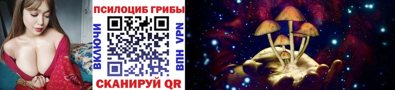 Галлюциногенные грибы мицелий  цена   Махачкала 