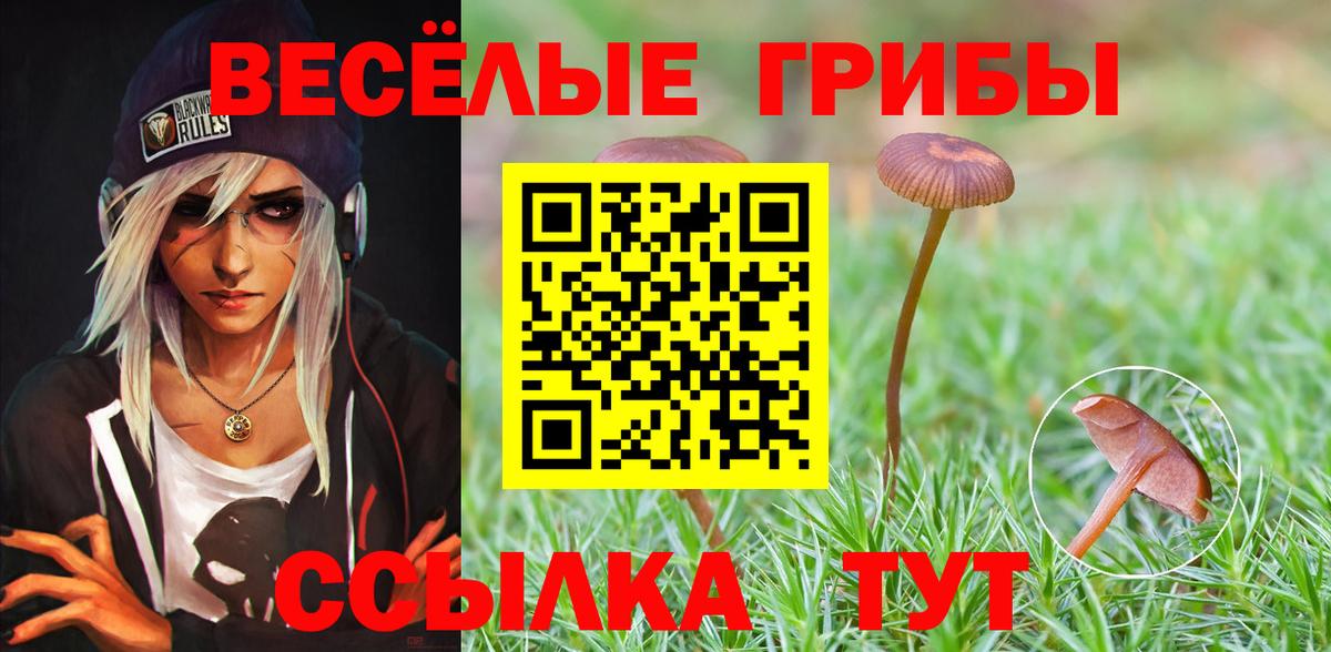 Галлюциногенные грибы MAGIC MUSHROOMS Махачкала