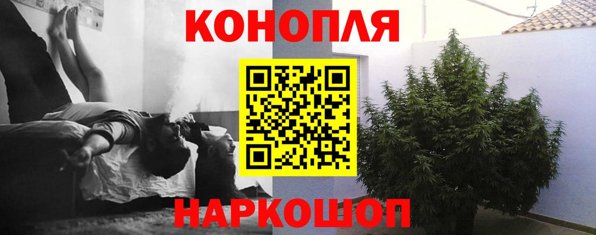 Бошки Шишки THC 21% Махачкала
